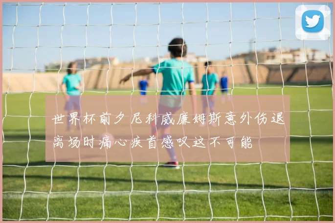 世界杯前夕尼科威廉姆斯意外伤退离场时痛心疾首感叹这不可能