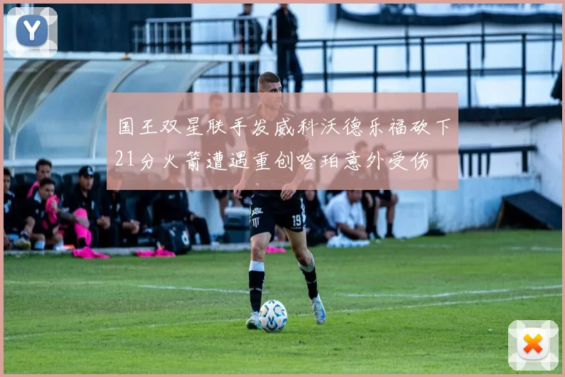 国王双星联手发威科沃德乐福砍下21分火箭遭遇重创哈珀意外受伤